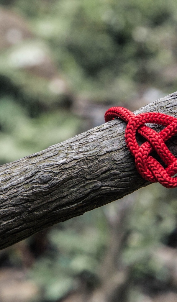 Красное сердце из веревки на дереве