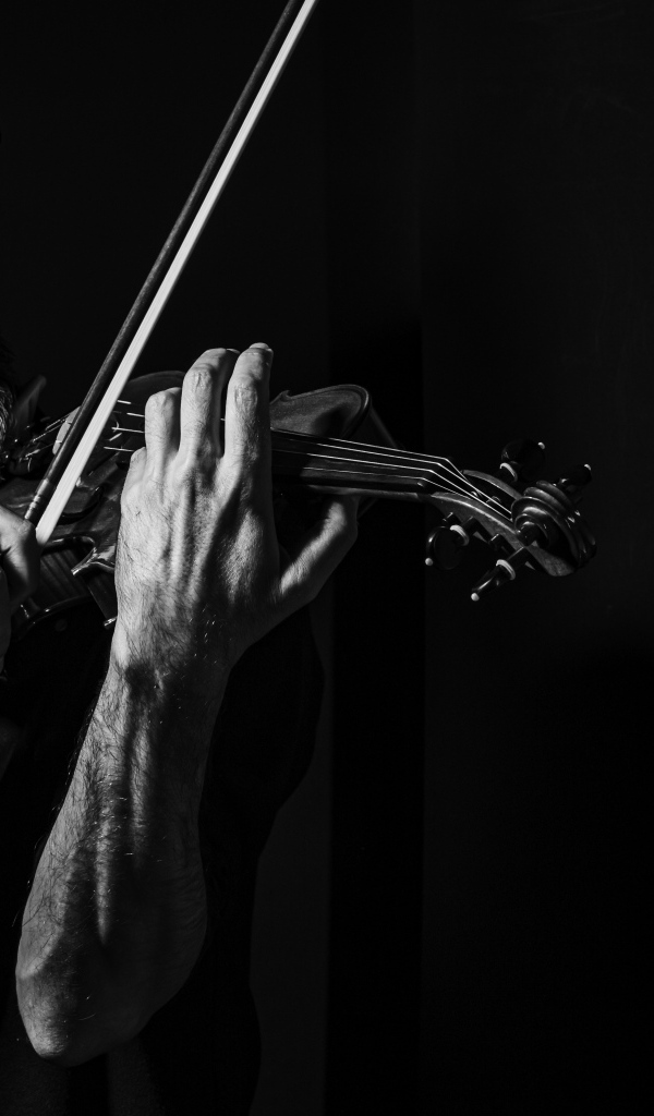 Мужчина музыкант со скрипкой в руках