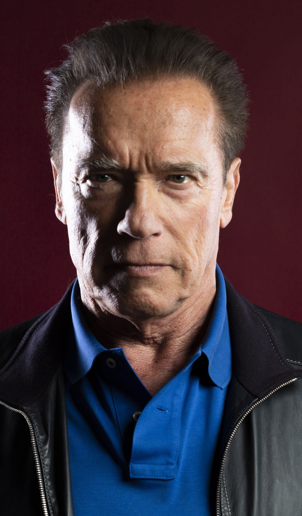 Популярный актер Арнольд Шварценеггер на красном фоне