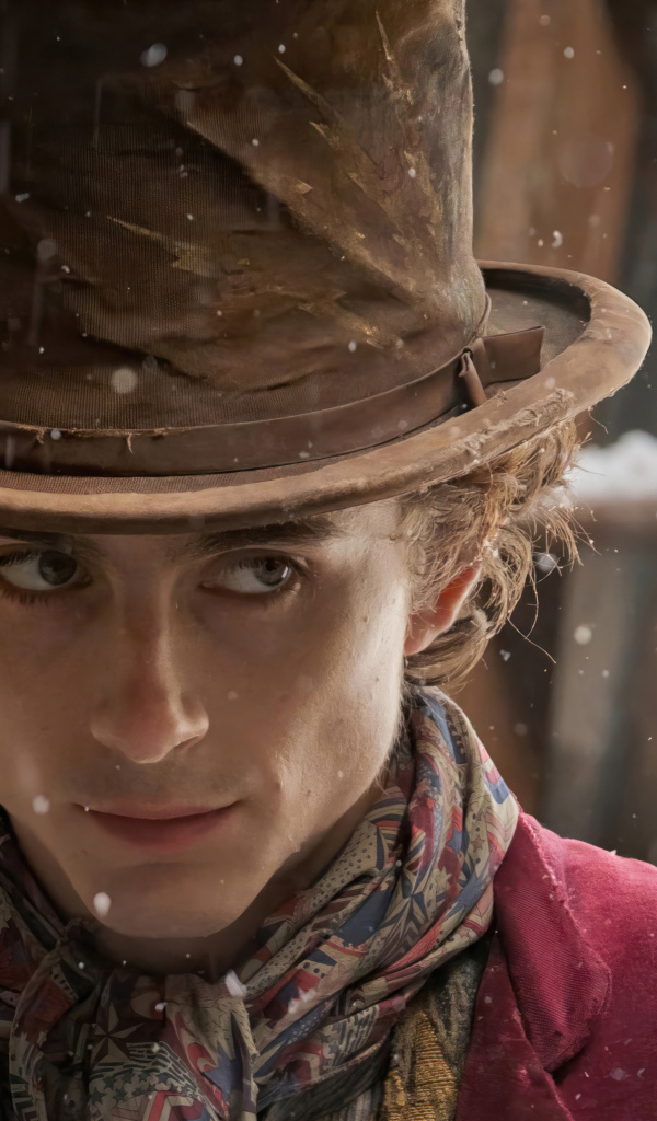 Персонажи нового фильма мюзикл Вилли Вонка, 2023