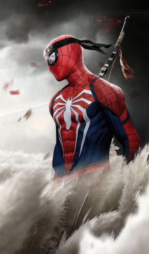 Ниндзя Человек паук на поле