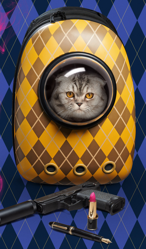 Постер нового фильма Аргайл, 2024