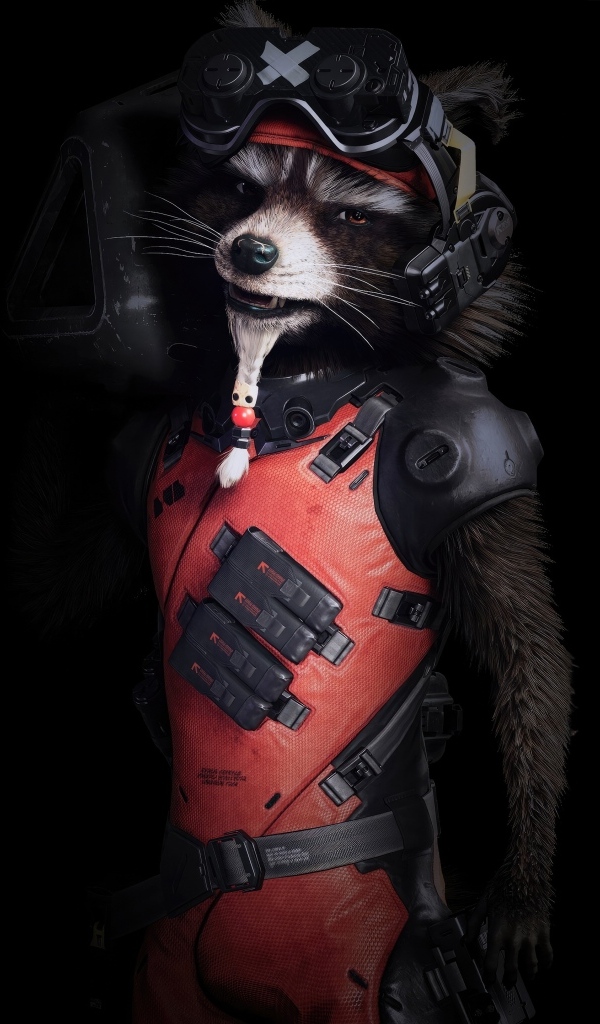 Енот в костюме на черном фоне