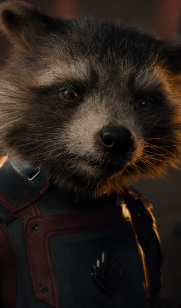 Енот Ракета персонаж фильма Стражи Галактики: Часть 3