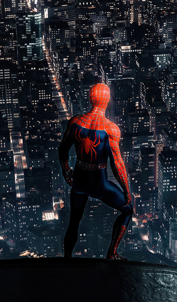 Человек паук смотрит на  ночной город