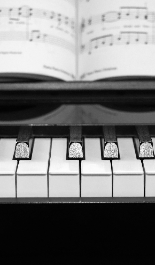 Клавиши пианино с нотной тетрадью
