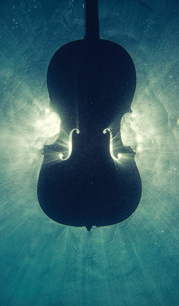 Скрипка лежит в воде