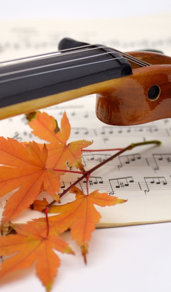 Скрипка на столе с листьями и нотами