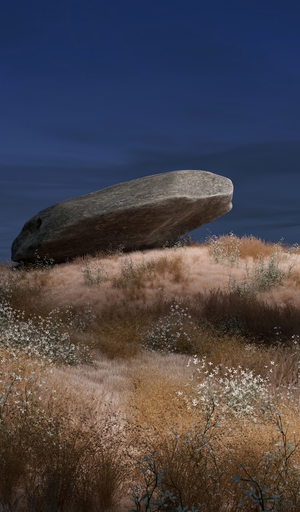Большой камень лежит на траве ночью