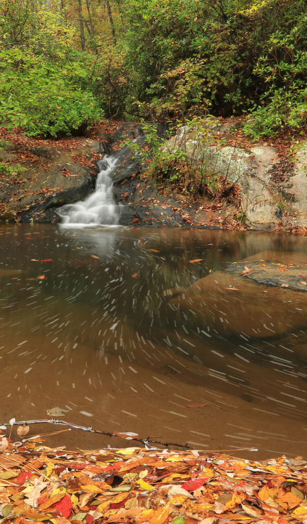 Красивый холодный осенний лес с водопадом