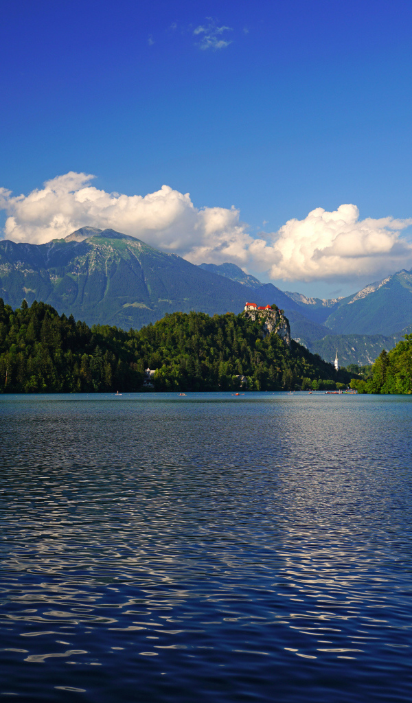 Красивый вид на озеро и покрытые зеленью горы