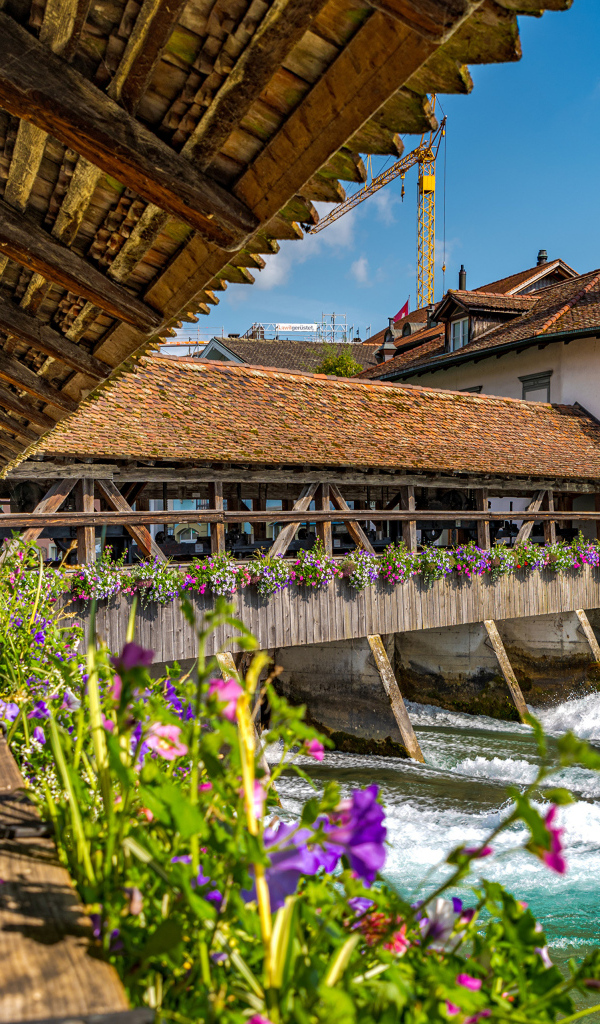 Красивый деревянный мост с цветами через реку