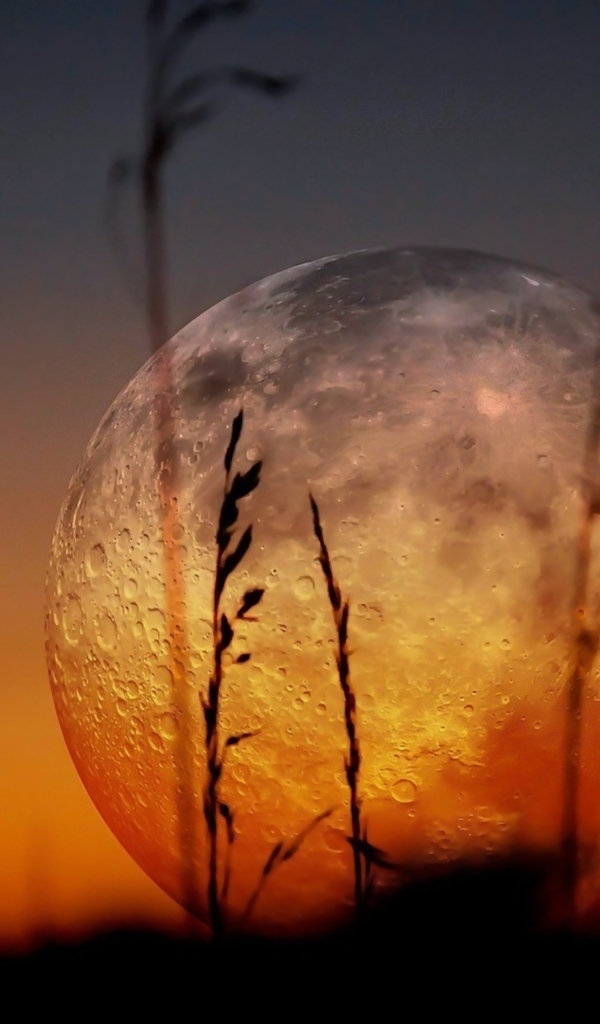 Большая холодная луна над полем