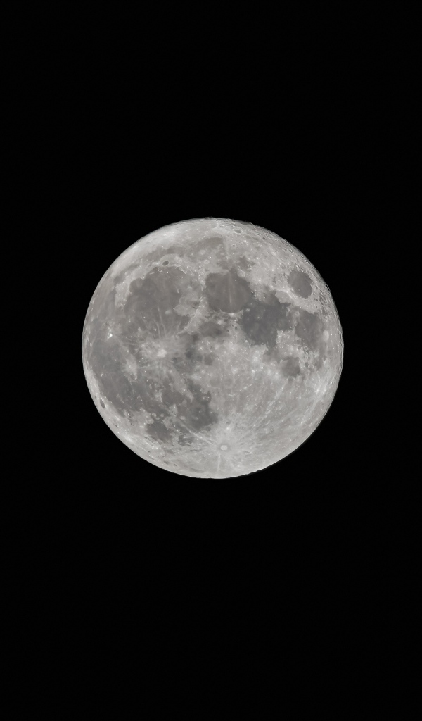 Большая белая луна на черном фоне