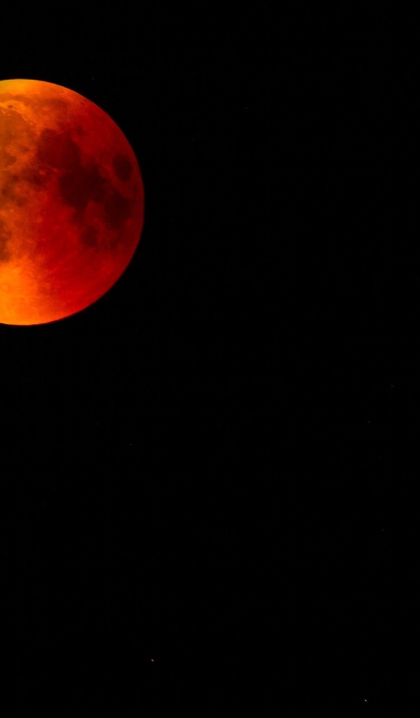 Кровавая луна в черном небе