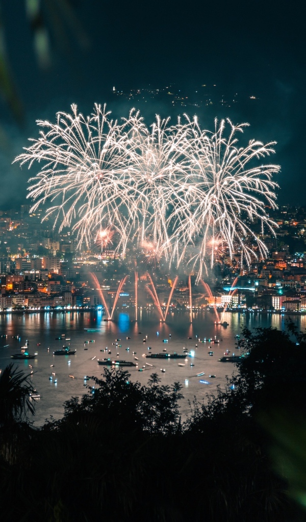 Яркий праздничный салют над озером
