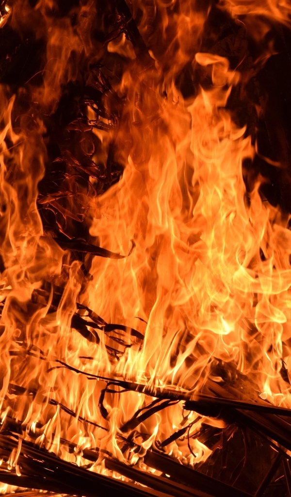 Яркий горячий огонь костра вблизи