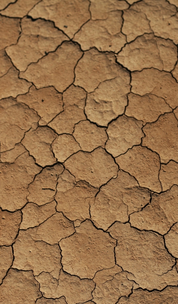 Трещины на сухой земле 