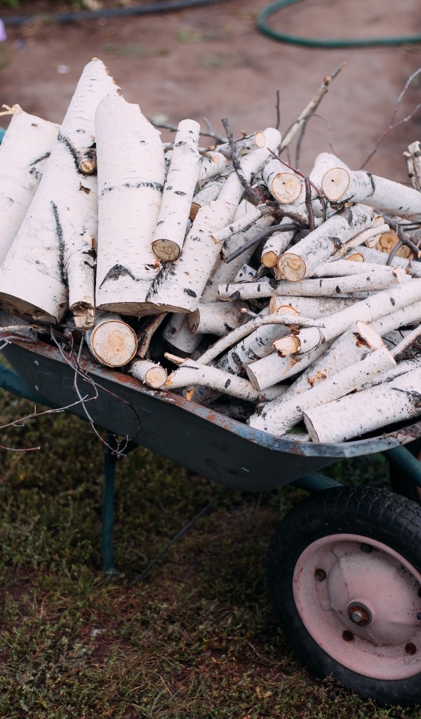 Железная тачка с дровами с березы