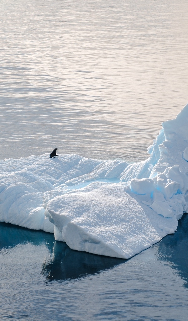 Большой холодный айсберг водах Антарктики