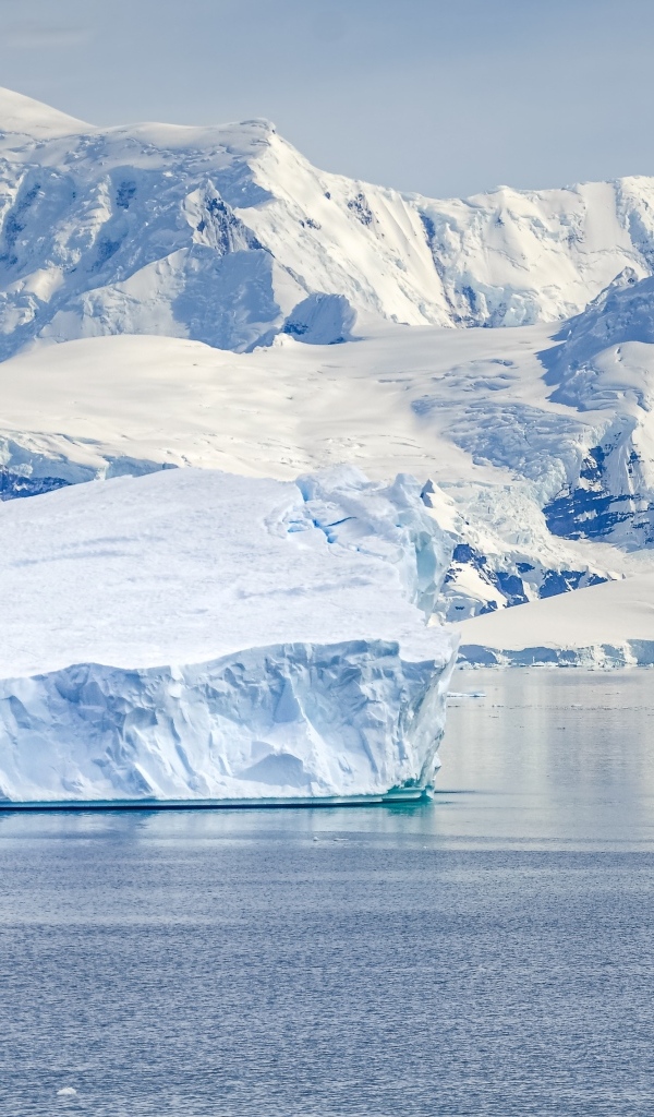 Большой айсберг у берега с заснеженными горами