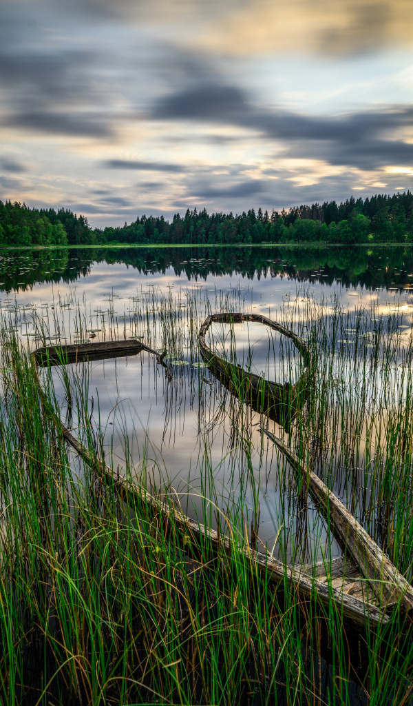 Старая затонувшая лодка в пруду