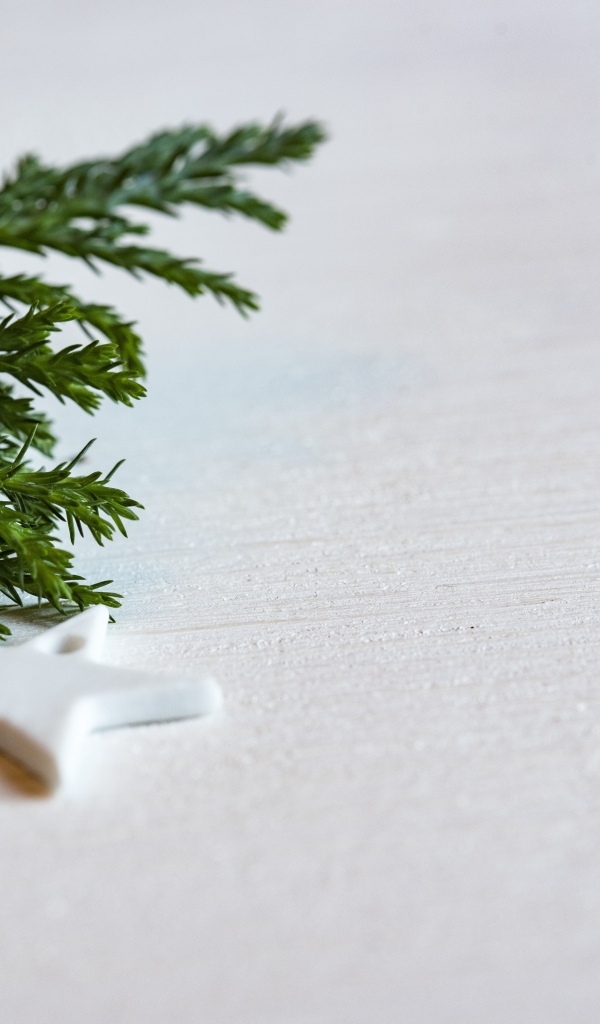 Звезды и ветка ели на белой поверхности 