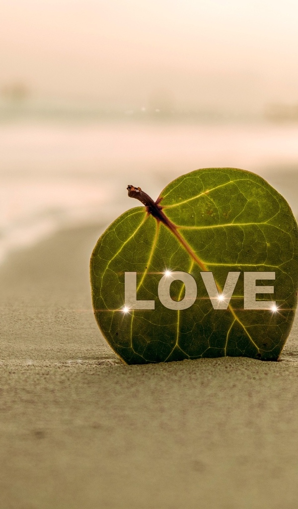 Зеленый лист в надписью любовь на песке у моря