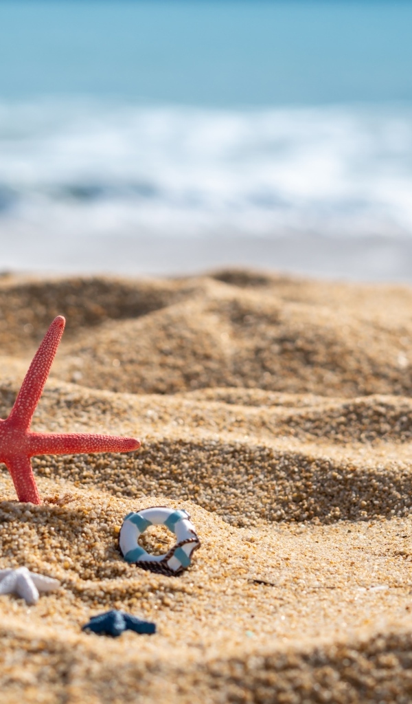 Красная морская звезда и игрушки на песке у моря летом