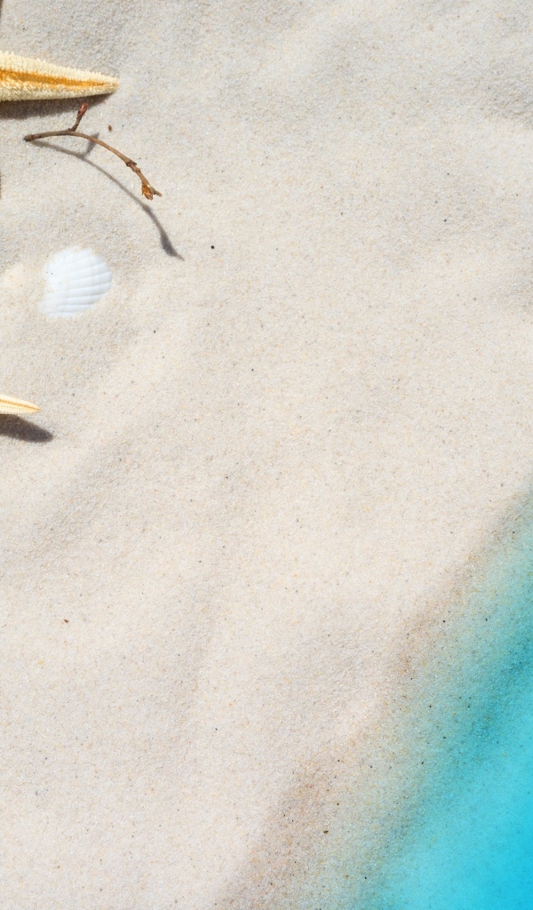 Морские звезды и ракушки на белом песке у голубой воды