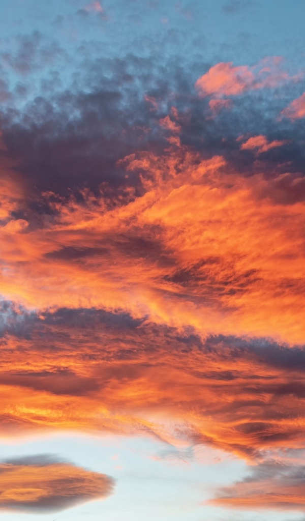 Красные облака в голубом небе