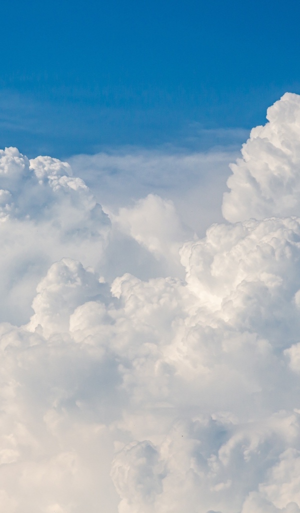 Густые белые облака в голубом небе