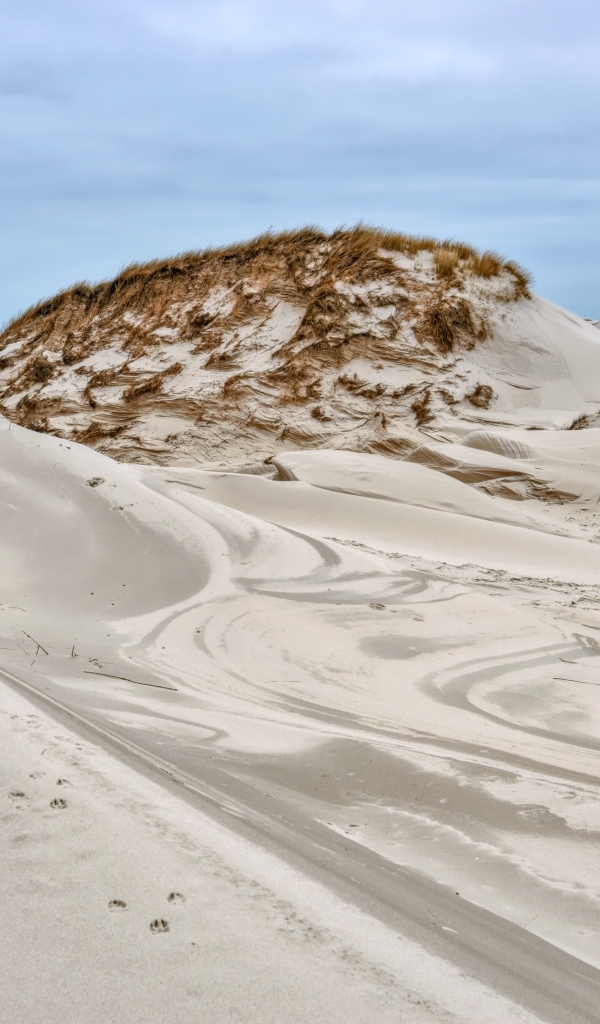 Горячий песок в дюне