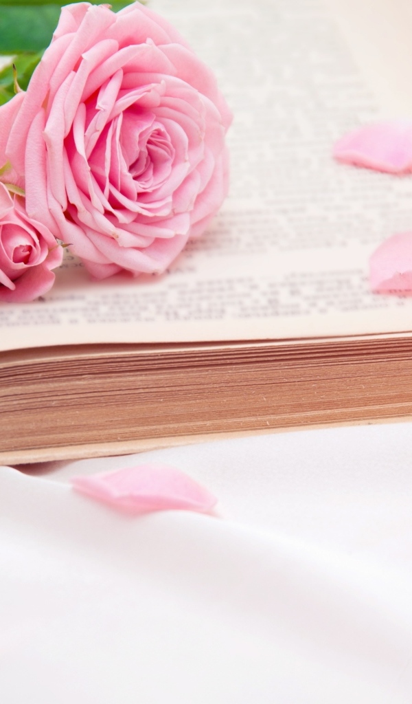 Букет розовых роз лежит на книге