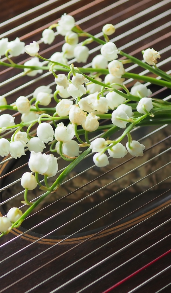 Букет белых ландышей лежит на струнах