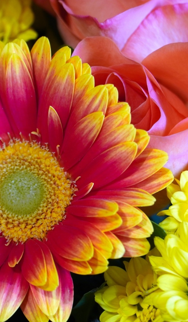 Красивый букет из цветов хризантемы и розы