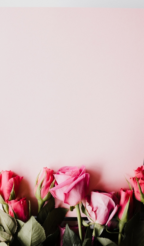 Красивый букет роз с тюльпанами и листом бумаги