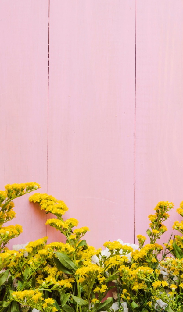 Красивые цветы на розовом фоне