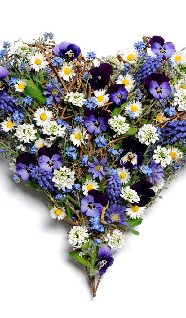 Красивое сердце из цветов на белом фоне