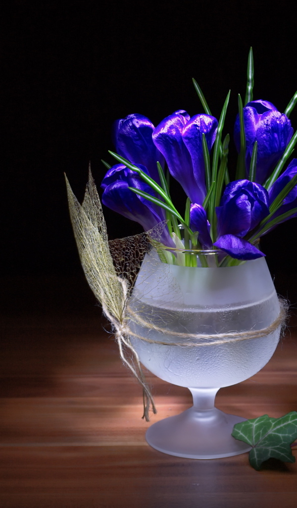 Синие крокусы в бокале на столе