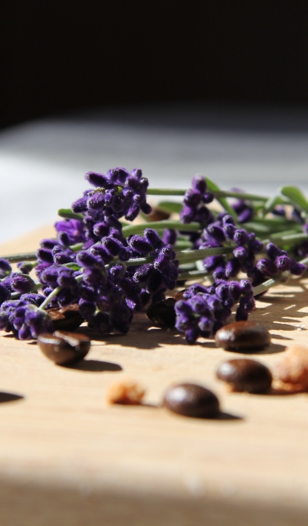 Синие цветы лаванды с зернами кофе