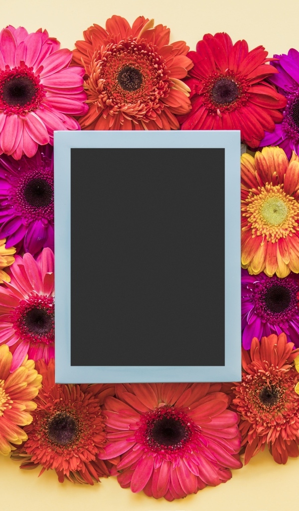 Букет разноцветных гербер с рамкой