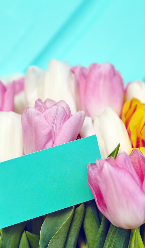 Букет разноцветных тюльпанов с открыткой