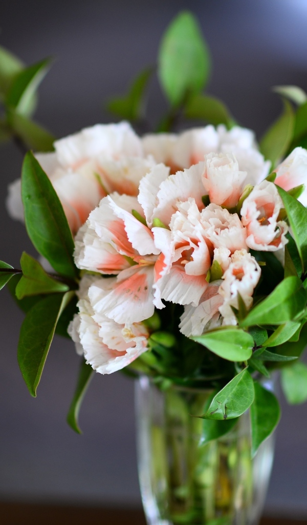 Букет розовых гвоздик  с зелеными листьями в вазе