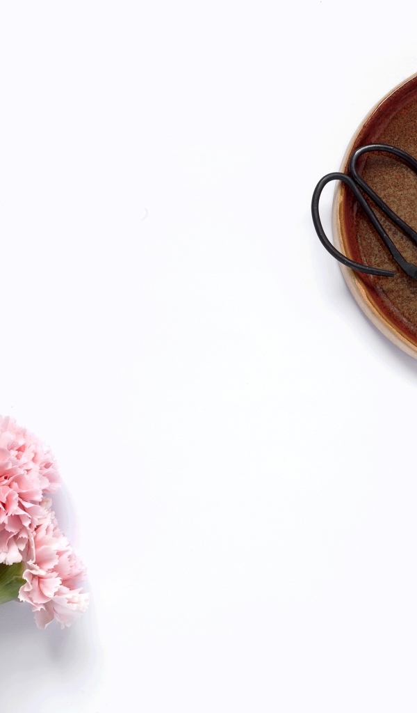 Букет розовых гвоздик с ножницами на белом фоне