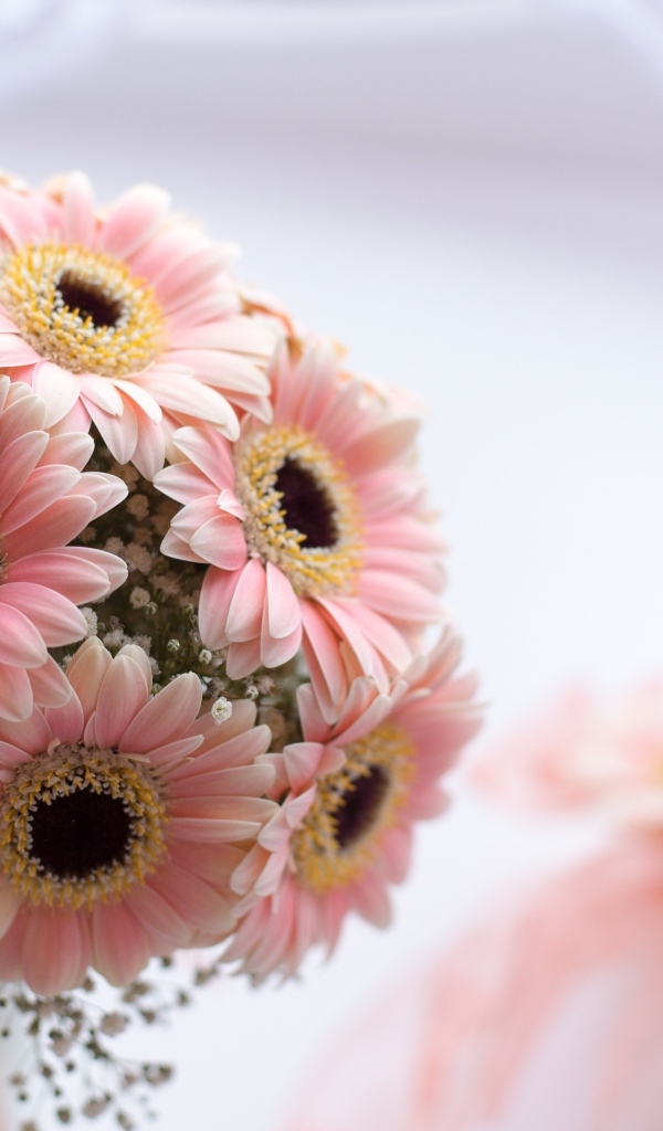 Букет розовых цветов герберы в вазе