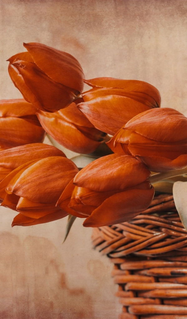 Букет красных тюльпанов в корзине на столе