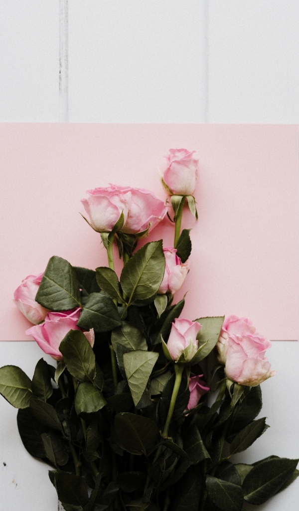 Букет роз с розовым листом бумаги на столе