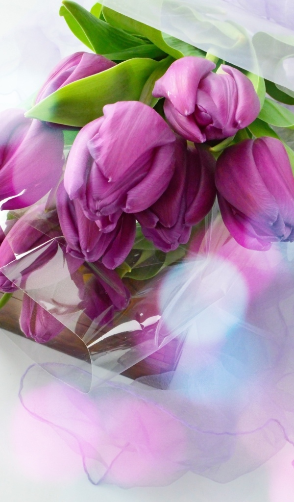 Букет тюльпанов с подарком на белом фоне