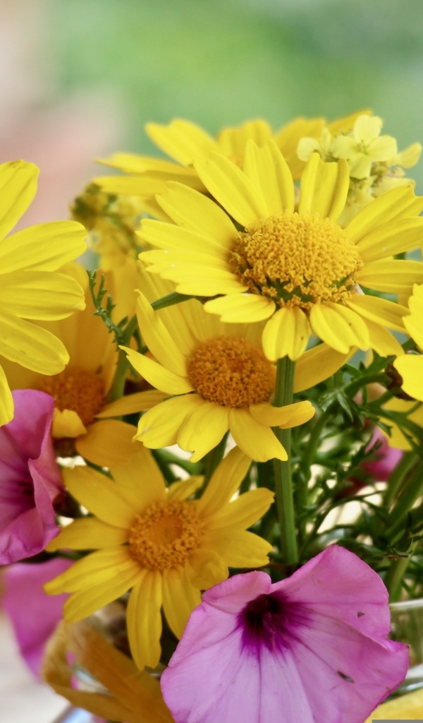 Букет желтых и розовых цветов в вазе на столе